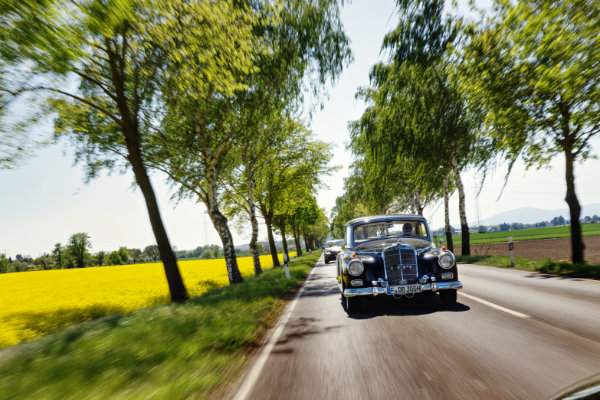 Mercedes W189 300d Adenauer